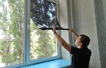 Тонирование окон