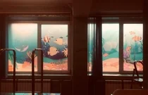 Тонирование окон