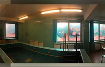 Тонирование окон