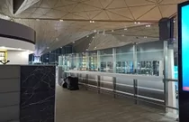 Декоративные пленки