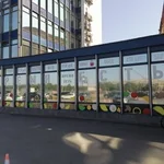 Солнцезащитная пленка зеркальная