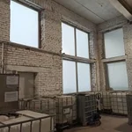 Пленка белая матовая