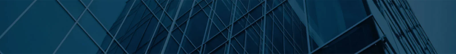 Пленка декоративная матовая MATTE WHITE